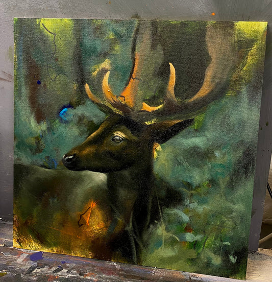 Deer Study